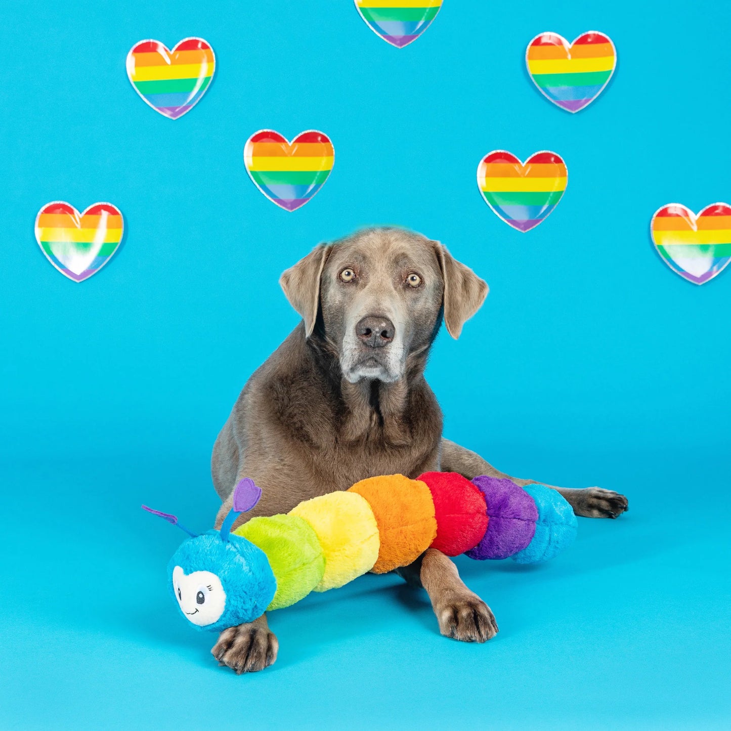 Fringe Studio "Don't Bug Me" Plush Dog Toy