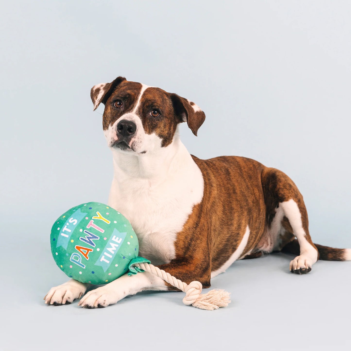 Fringe Studio "I Pawty You Pawty" Birthday Plush Dog Toy