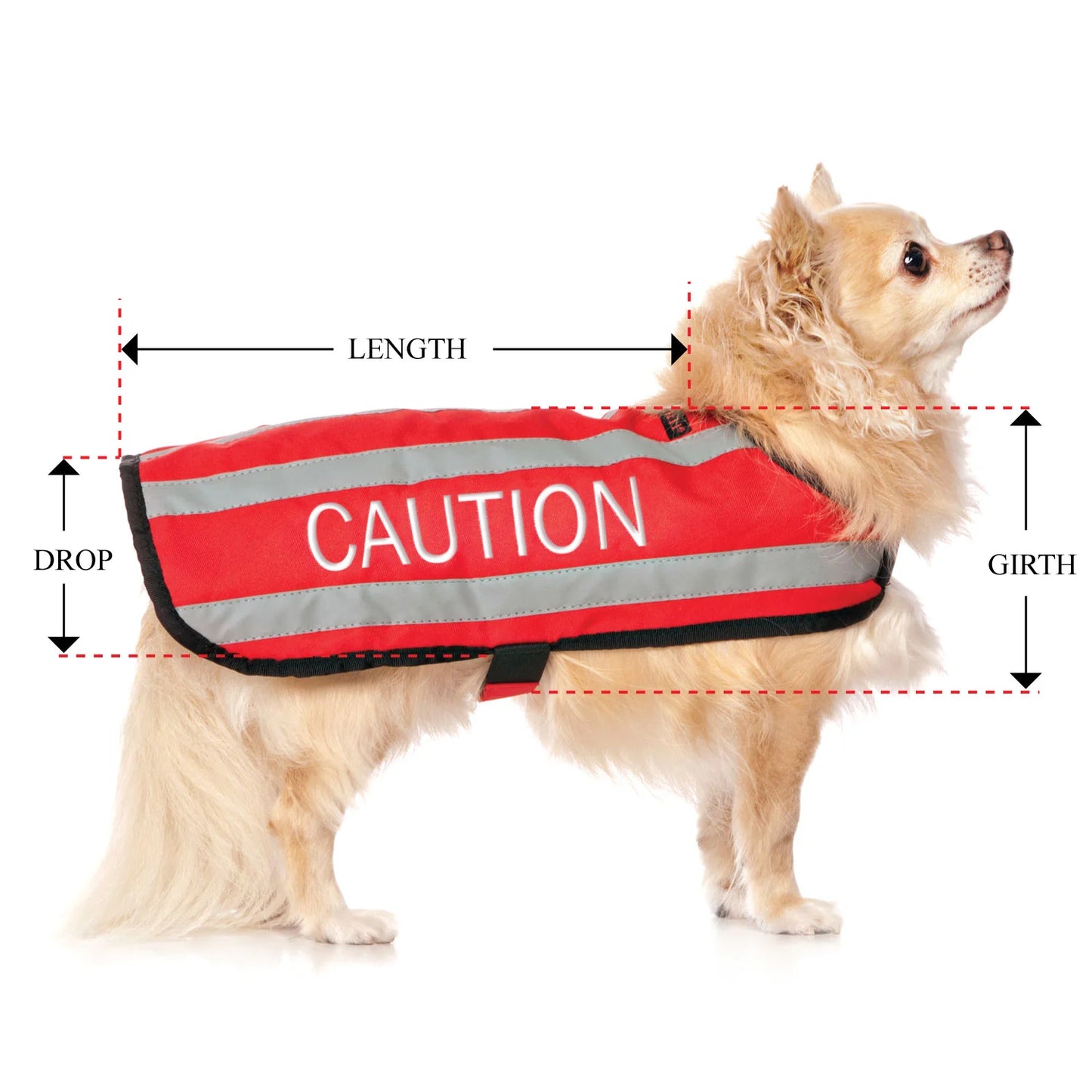 Friendly Dog Collars- Coat- Caution