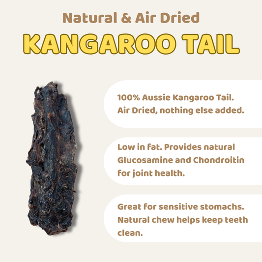 Air dried kangaroo tail with text about its benefits on a beige background