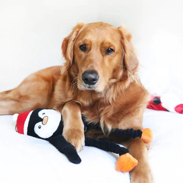 ZippyPaws® Holiday Penguin Crinkle Dog Toy Large