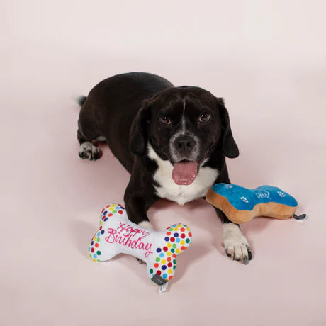 Fringe Studio Birthday Bone Cookies Plush Squeaky Dog Toy- 2 Pack