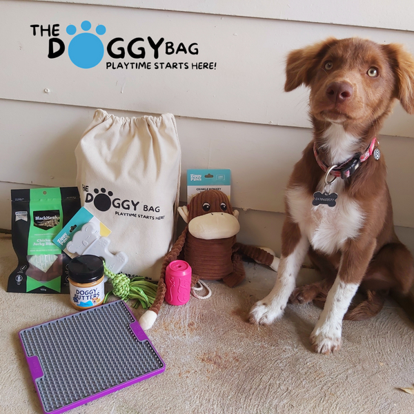 The Entertainer Doggy Bag Bundle for Puppies is the right amount of toy, treats and enrichment for new puppies.