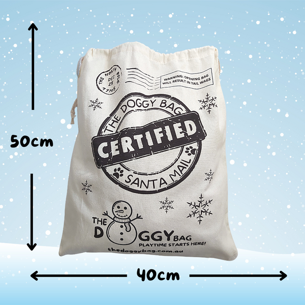 The Doggy Bag's Special Edition Santa Sack- Bag Only
