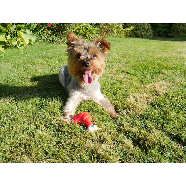Rosewood Meaty Chicken Takeaway Leg Tough Dog Chew Toy