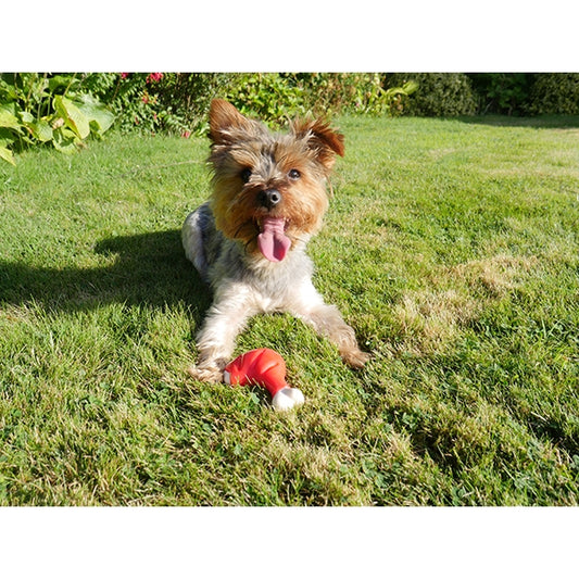 Rosewood Meaty Chicken Takeaway Leg Tough Dog Chew Toy