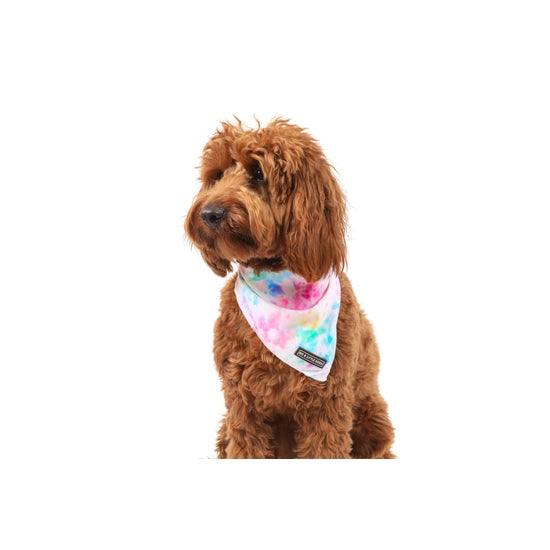 Big and Little Dogs Bandana- Cotton Candy