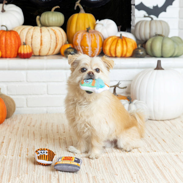 Fringe Studio, fright nights halloween themed plush squeaky dog toy set.
