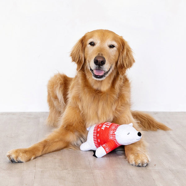 Fringe Studio Christmas Holiday Plush Squeaker Dog Toy - Chill Mode