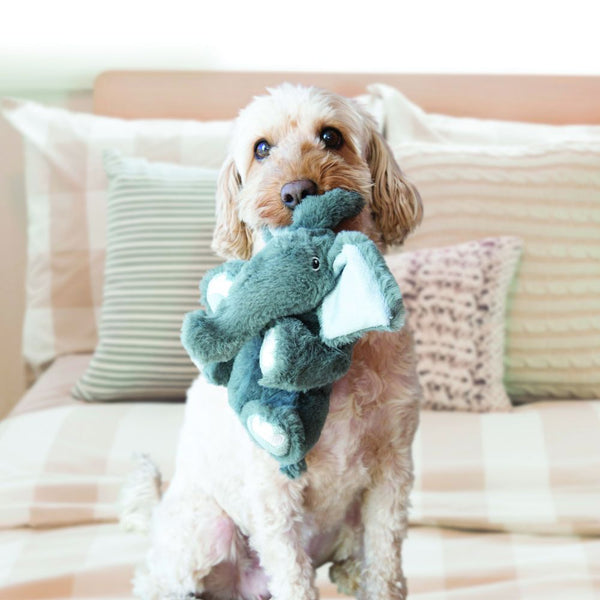 KONG comfort kiddos plush low tone squeaker dog toy suitable for puppies and adult dogs alike. Perfect for snuggle time and quiet indoor playtime. Elephant dog toy.