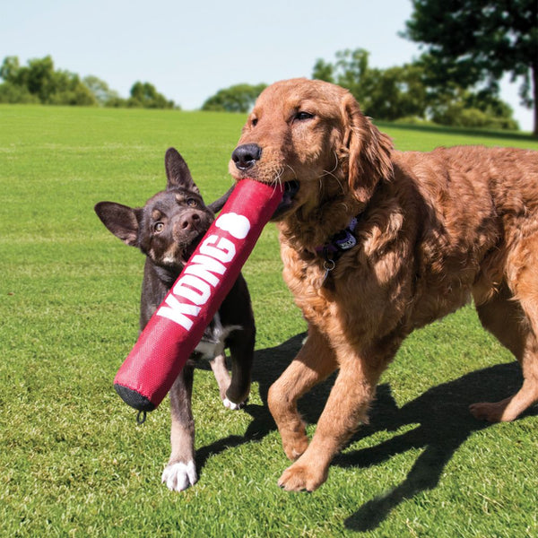 KONG Signature Stick’s rugged exterior delivers long-lasting tugging and fetching fun to satisfy dogs’ instinctual needs. A symphony of squeaking, crinkling and honking keeps pups playing longer while the soft stuffed body is gentle on teeth and gums—and shaped for easy grabbing.