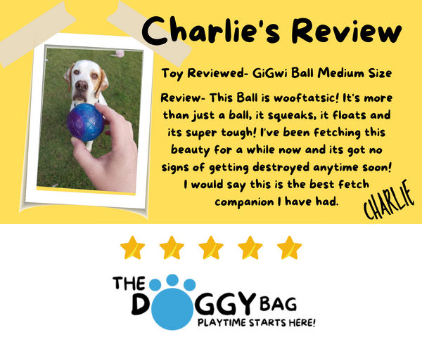 Charlie the dog reviews the GiGwi Ball and he is super impressed.