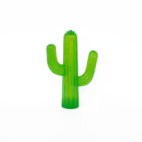Zippy Paws Zippy Tuff Teething Cactus Dog Toy