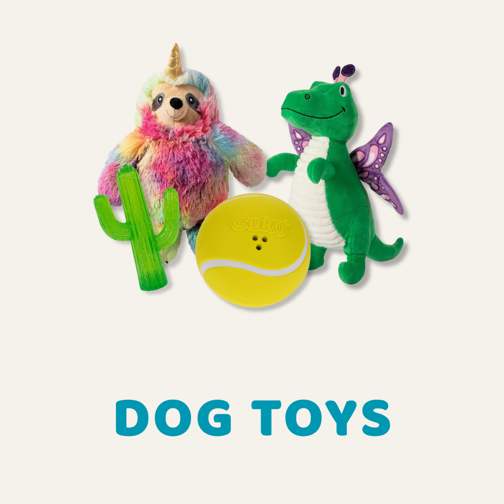 DOG TOY COLLECTION IMAGE. IMAGE OF A RAINBOW SLOTH, DINOSAUR WITH BUTTERFLY WINGS, GREEN CACTUS, AND YELLOW TENNIS BALL