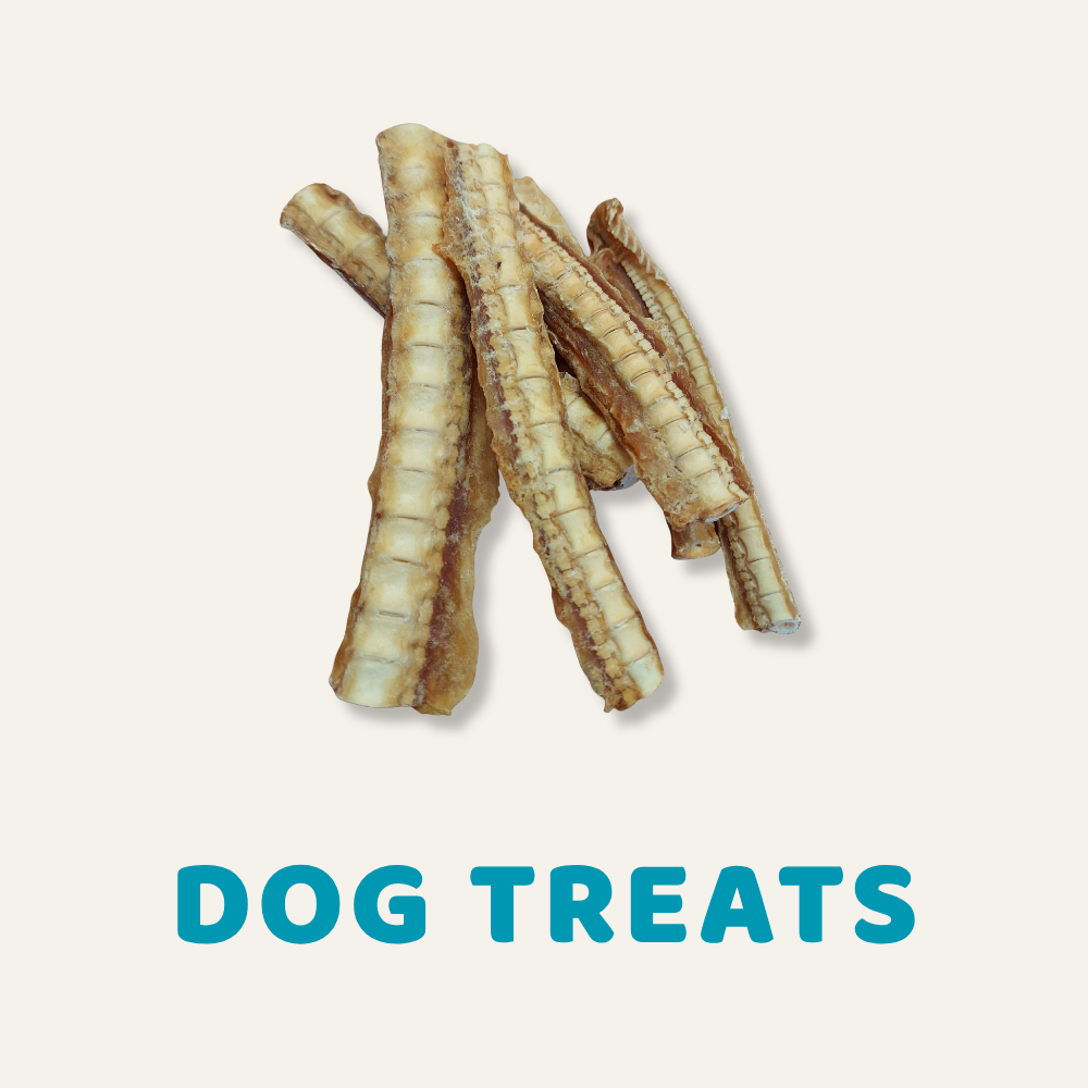 Dog Treats collection image featuring a picture of our Shark Cartilage.