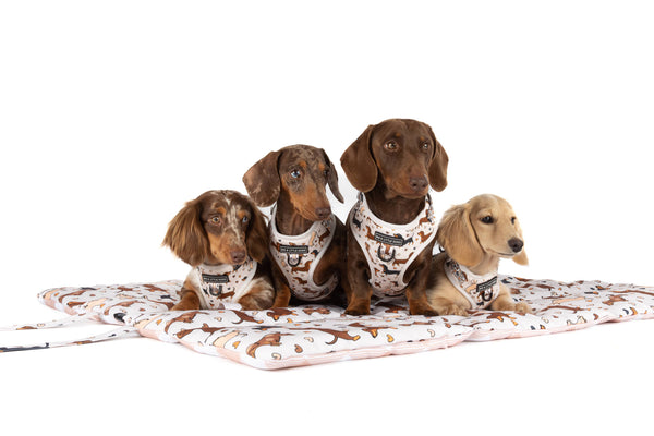 Big And Little Dogs-ON-THE-GO PET MAT: Dashie Lovers/Latte Gingham