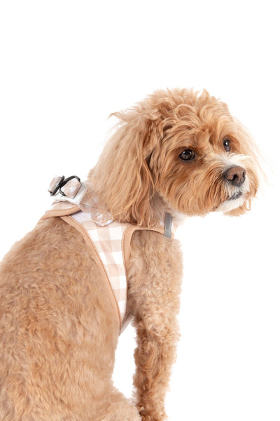 Big And Little Dogs-STEP-IN DOG HARNESS: Latte Gingham