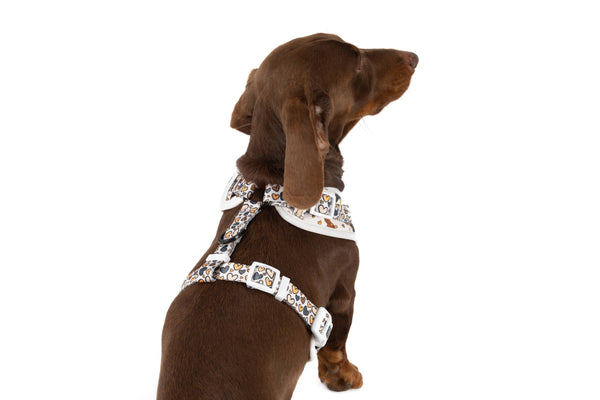 Big And little Dogs-ADJUSTABLE DOG HARNESS: Dashie Lovers
