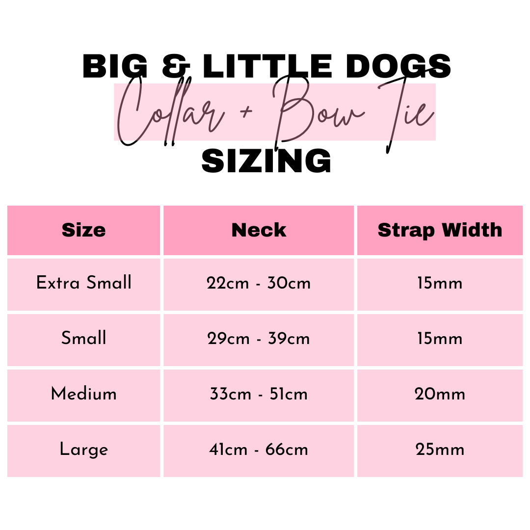Big And Little Dogs-DOG COLLAR & BOW TIE: Blue Fairy Bread