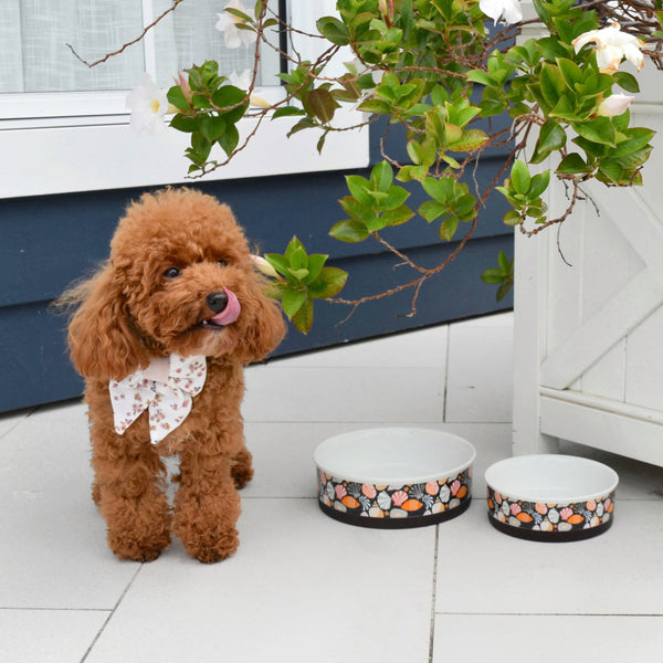 Indie Boho-Daydream Shells - Designer Dog Bowls