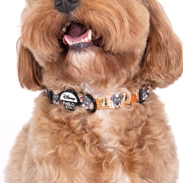 Pablo & Co- Disney Lady and the Tramp: Dog Collar