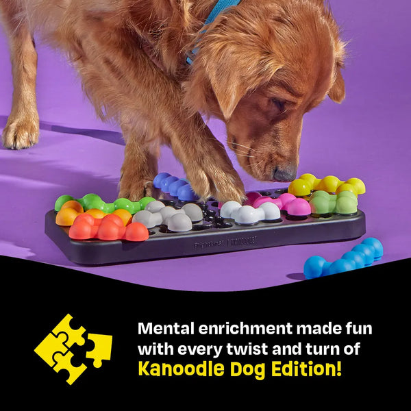 Brightkins Kanoodle Interactive Dog Puzzle Toy- Large