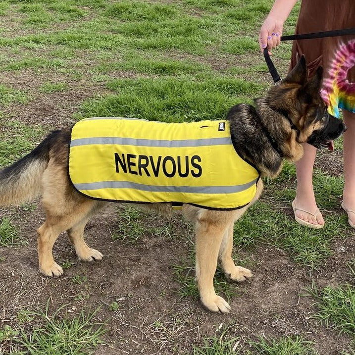 Friendly Dog Collars- Coat- Nervous