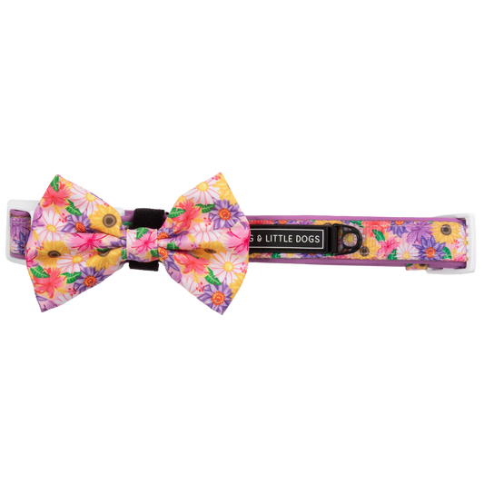 NEW Big And Little Dogs- DOG COLLAR + Bow Tie: Spring Fling