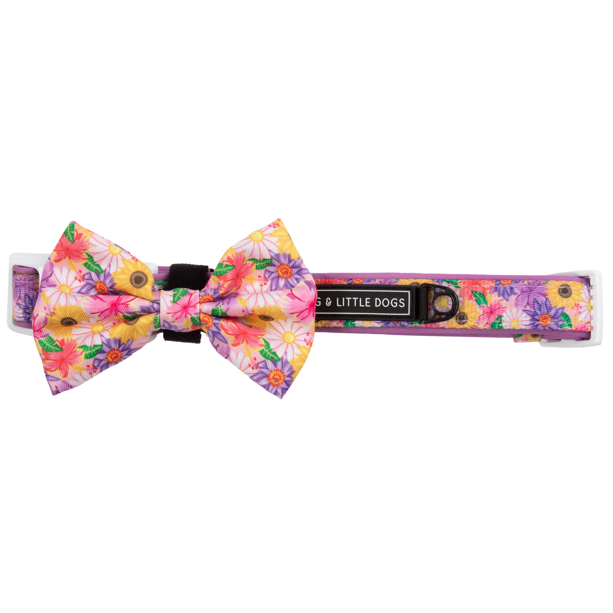 NEW Big And Little Dogs- DOG COLLAR + Bow Tie: Spring Fling