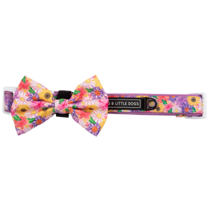 NEW Big And Little Dogs- DOG COLLAR + Bow Tie: Spring Fling