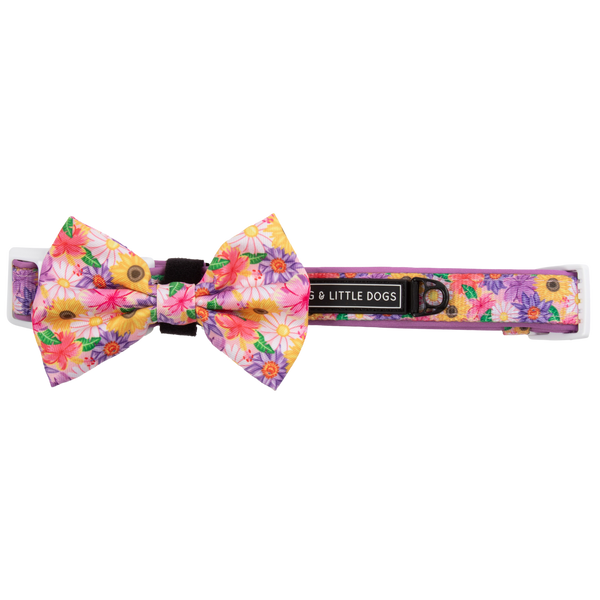 NEW Big And Little Dogs- DOG COLLAR + Bow Tie: Spring Fling