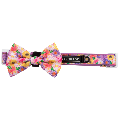 NEW Big And Little Dogs- DOG COLLAR + Bow Tie: Spring Fling