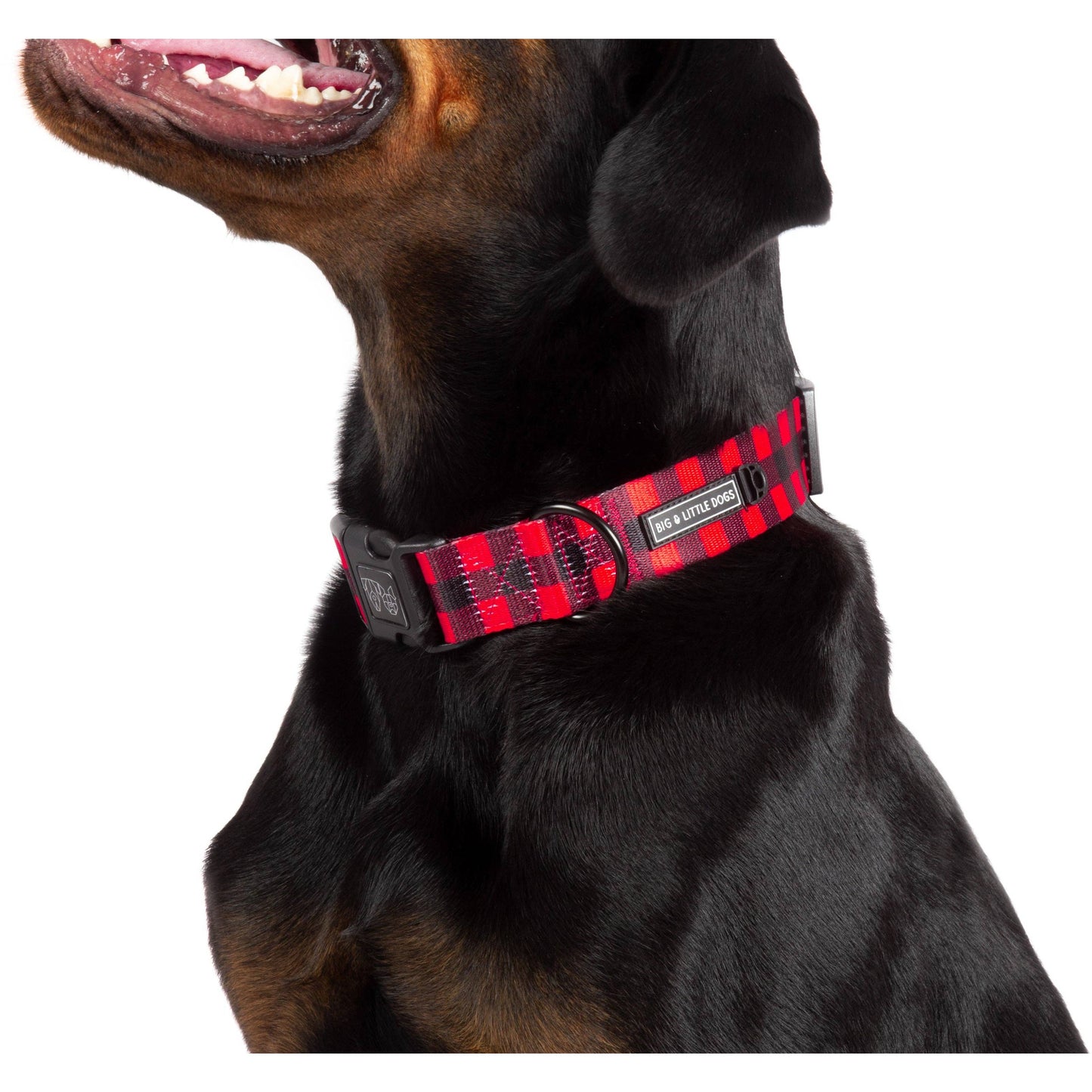 Big and Little Dogs- DOG COLLAR & BOW TIE: Plaid to the Bone