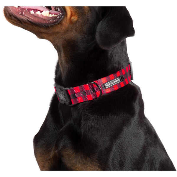 Big and Little Dogs- DOG COLLAR & BOW TIE: Plaid to the Bone