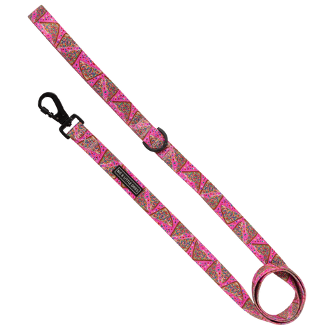 Big And Little Dogs- DOG LEASH: Pink Fairy Bread