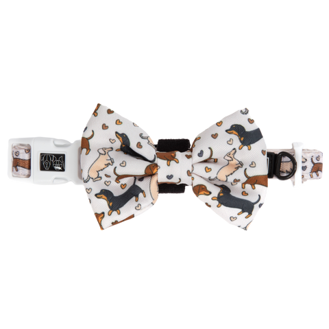Big And Little Dogs-DOG COLLAR & BOW TIE: Dashie Lovers