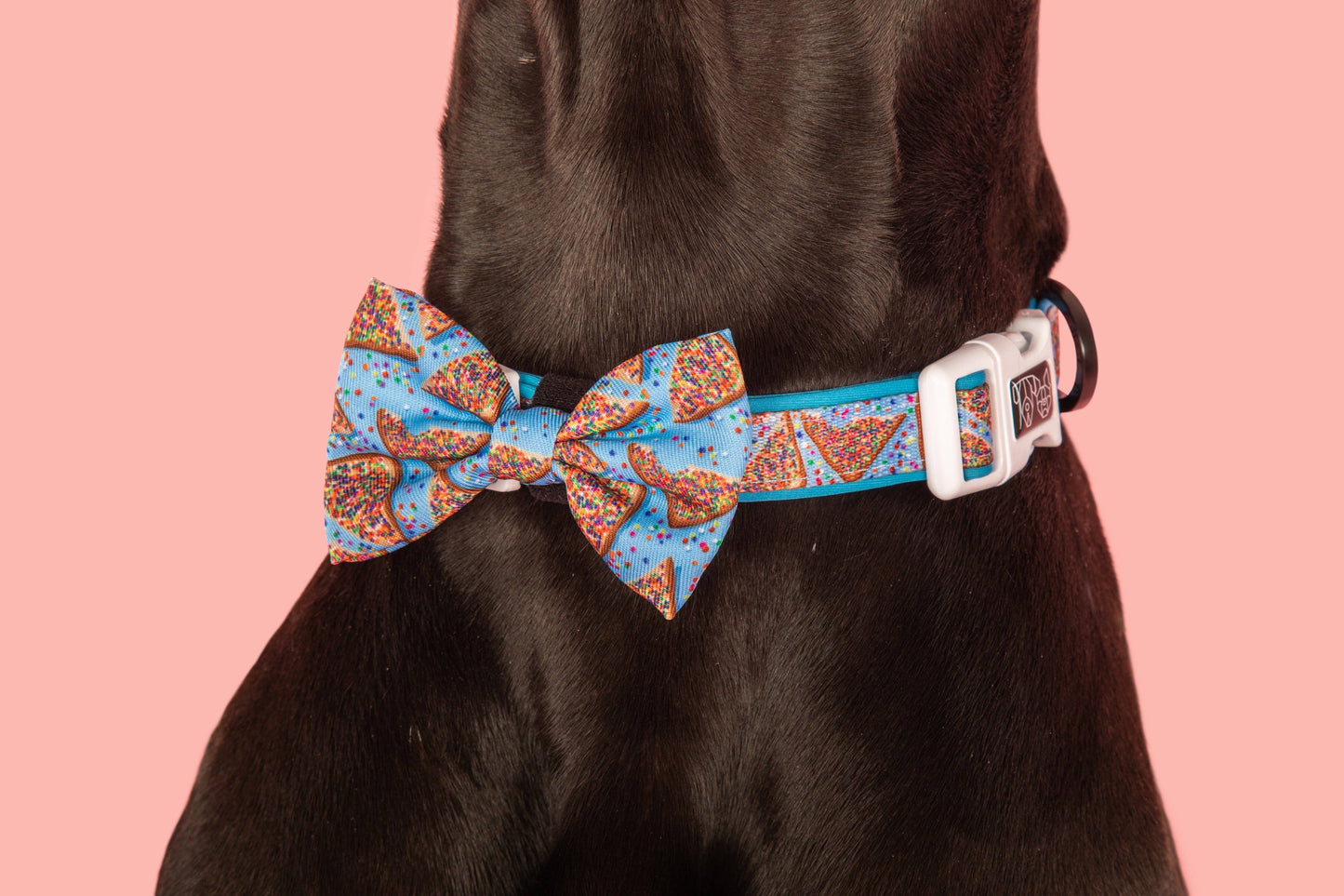 Big And Little Dogs-DOG COLLAR & BOW TIE: Blue Fairy Bread