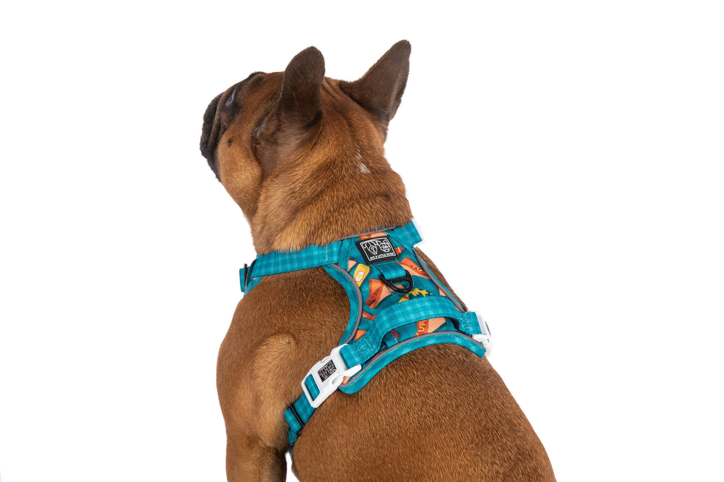 Big And Little Dogs THE ALL-ROUNDER DOG HARNESS: Sausage Sizzle