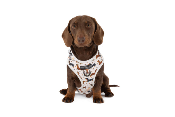 Big And little Dogs-ADJUSTABLE DOG HARNESS: Dashie Lovers