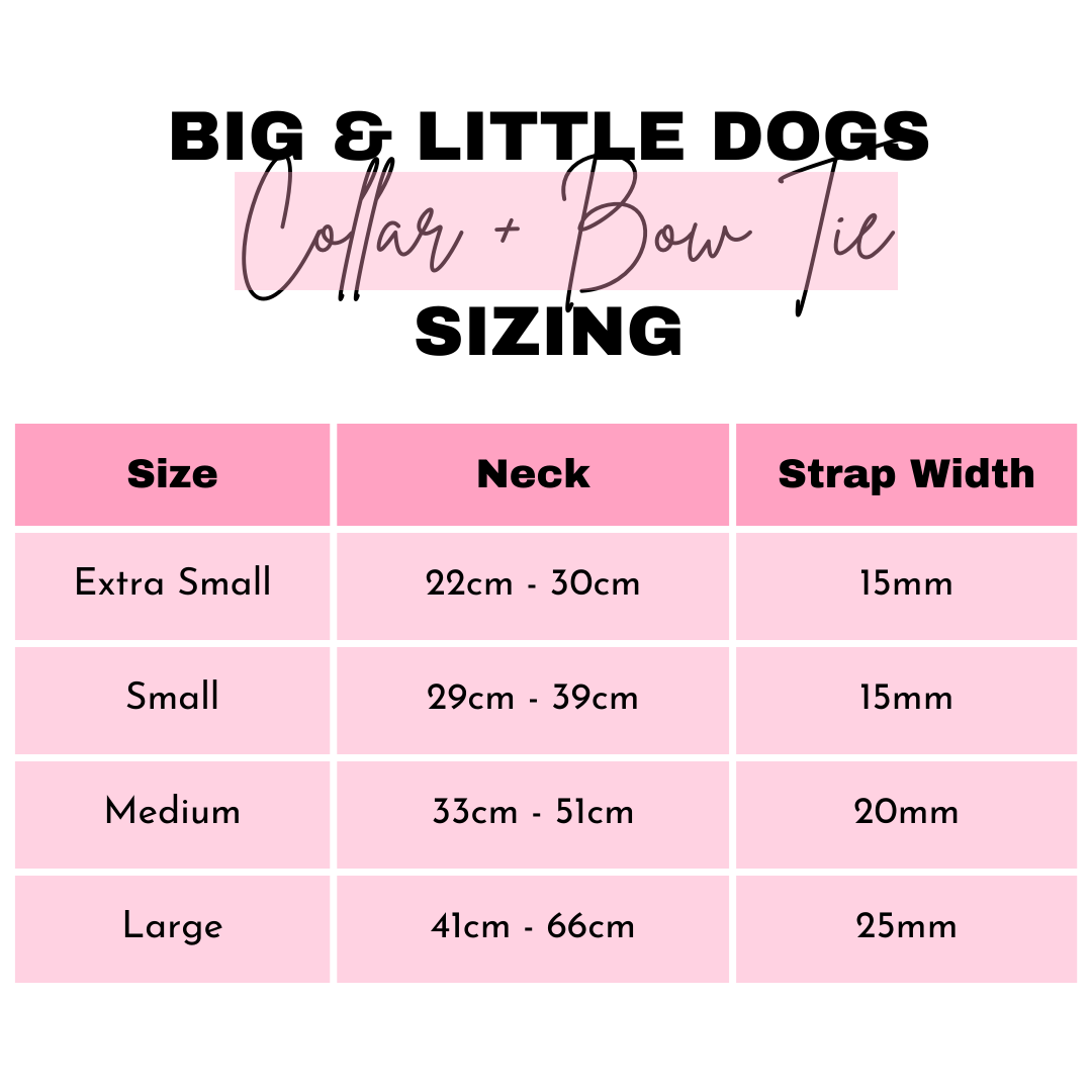 Big and Little Dogs- DOG COLLAR & BOW TIE: Sausage Sizzle