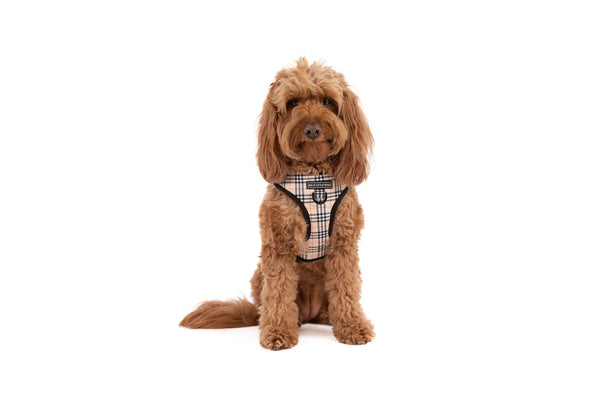 Big And Little Dogs-ADJUSTABLE DOG HARNESS: Nova Plaid