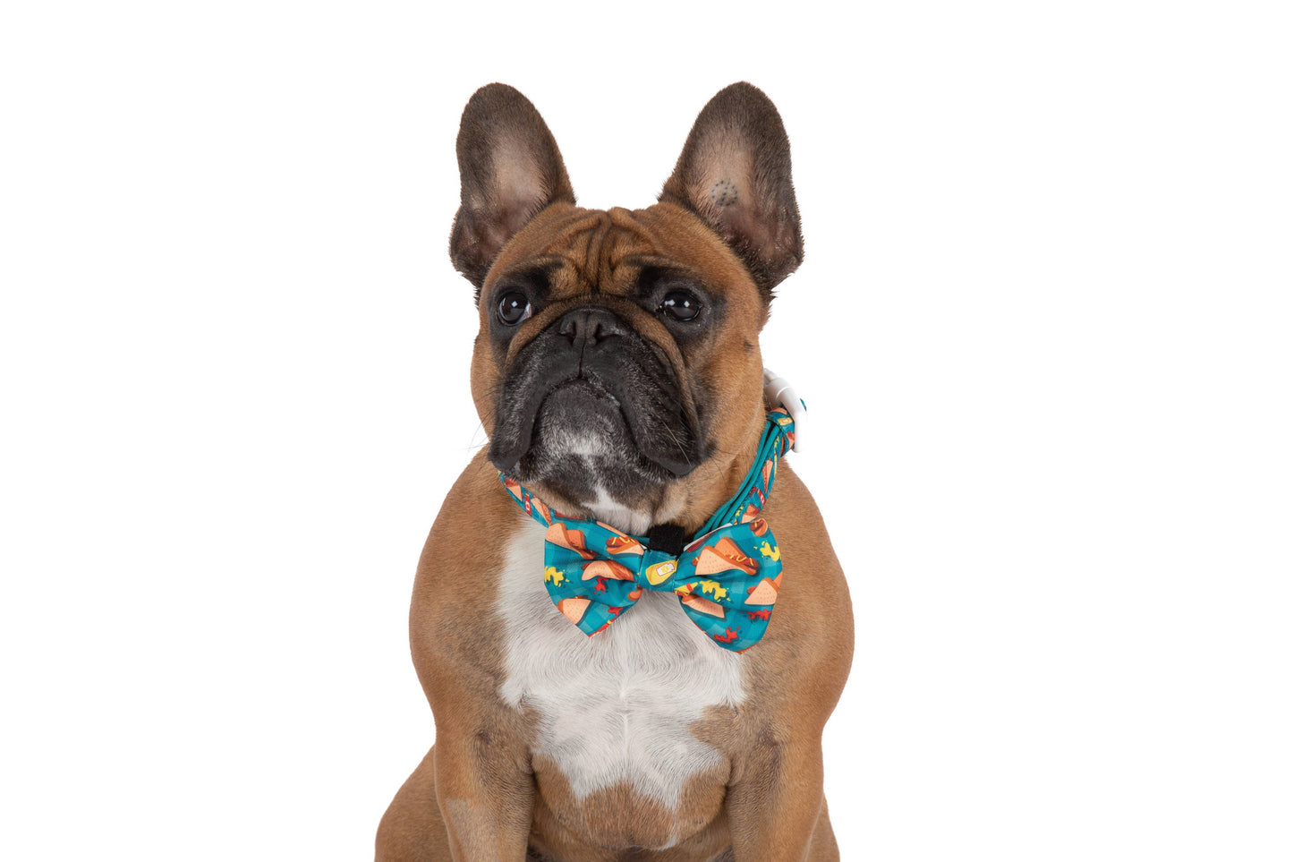 Big and Little Dogs- DOG COLLAR & BOW TIE: Sausage Sizzle