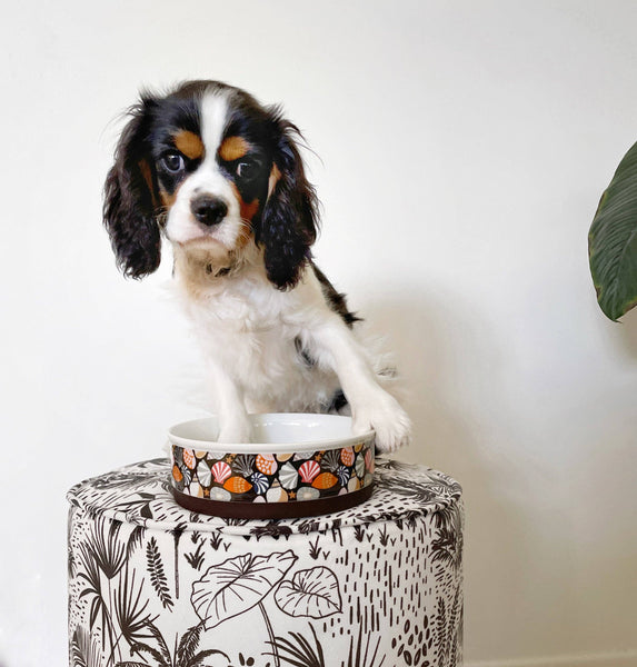 Indie Boho-Daydream Shells - Designer Dog Bowls
