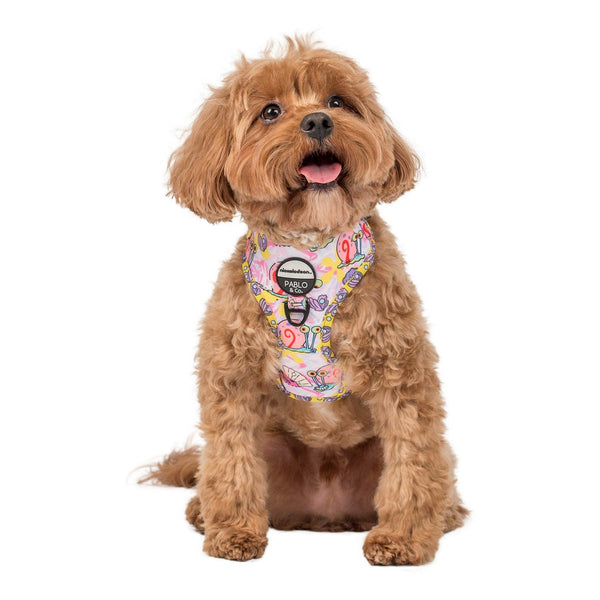 Pablo & Co- Nickelodeon Spongebob-Gary: Adjustable Harness