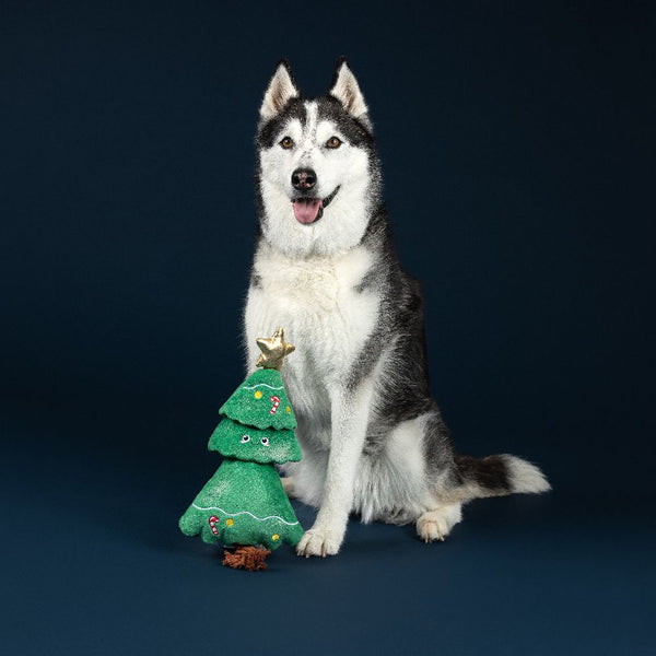 Fringe Studio- "Fir Real Fun Ahead" Christmas Plush Dog Toy