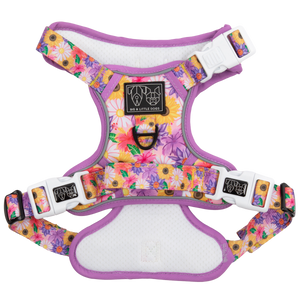 Big And Little Dogs-THE ALL-ROUNDER DOG HARNESS: Spring Fling