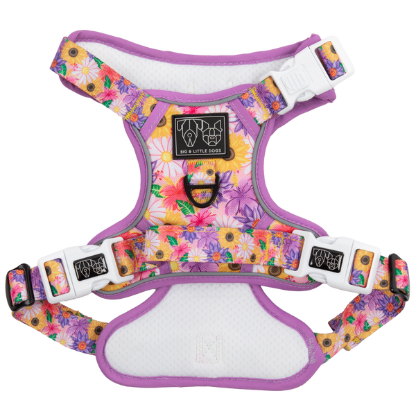 Big And Little Dogs-THE ALL-ROUNDER DOG HARNESS: Spring Fling