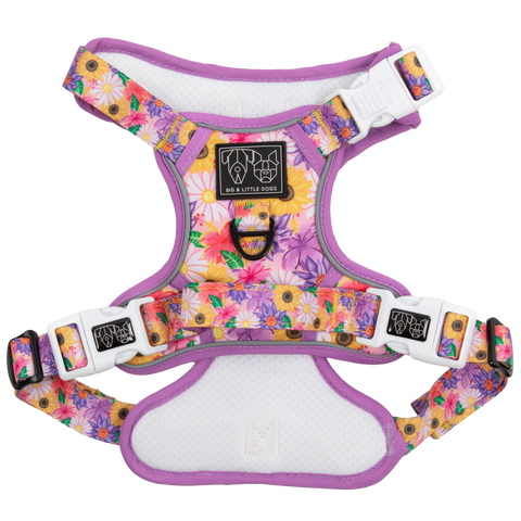 Big And Little Dogs-THE ALL-ROUNDER DOG HARNESS: Spring Fling