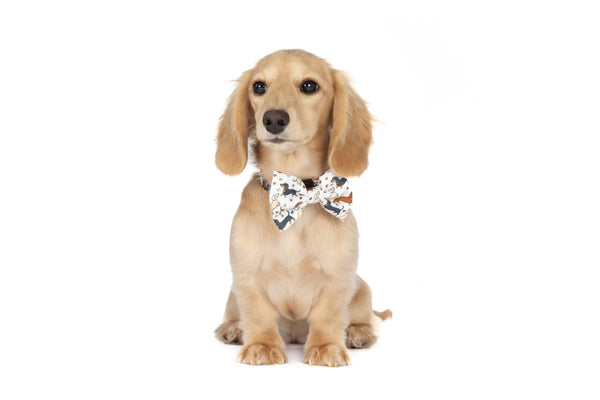 Big And Little Dogs-DOG COLLAR & BOW TIE: Dashie Lovers