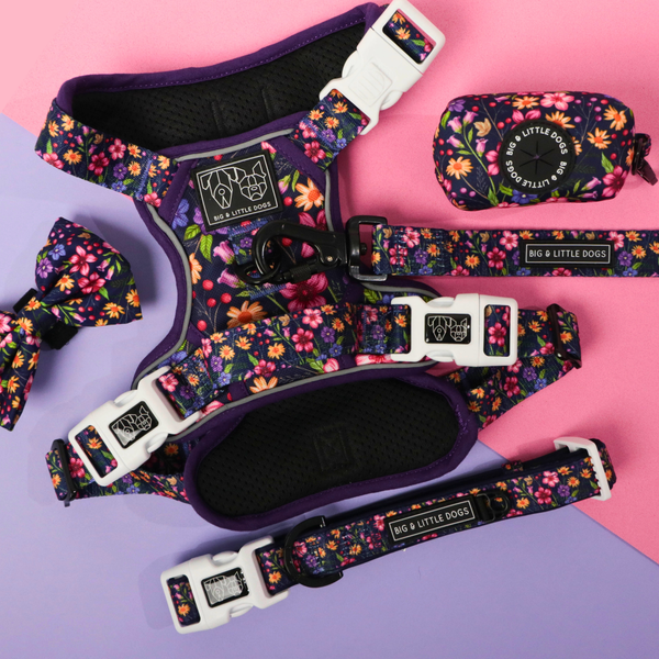 THE ALL-ROUNDER DOG HARNESS: Petal Paradise
